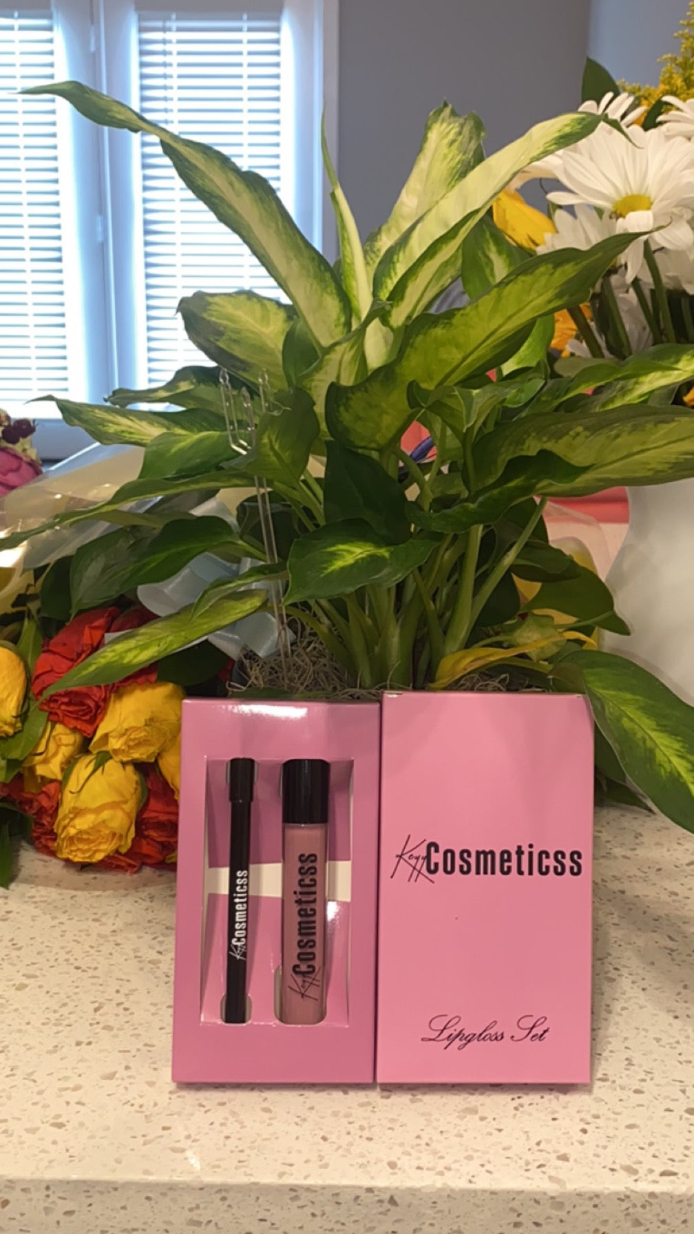 Dream lipgloss kit